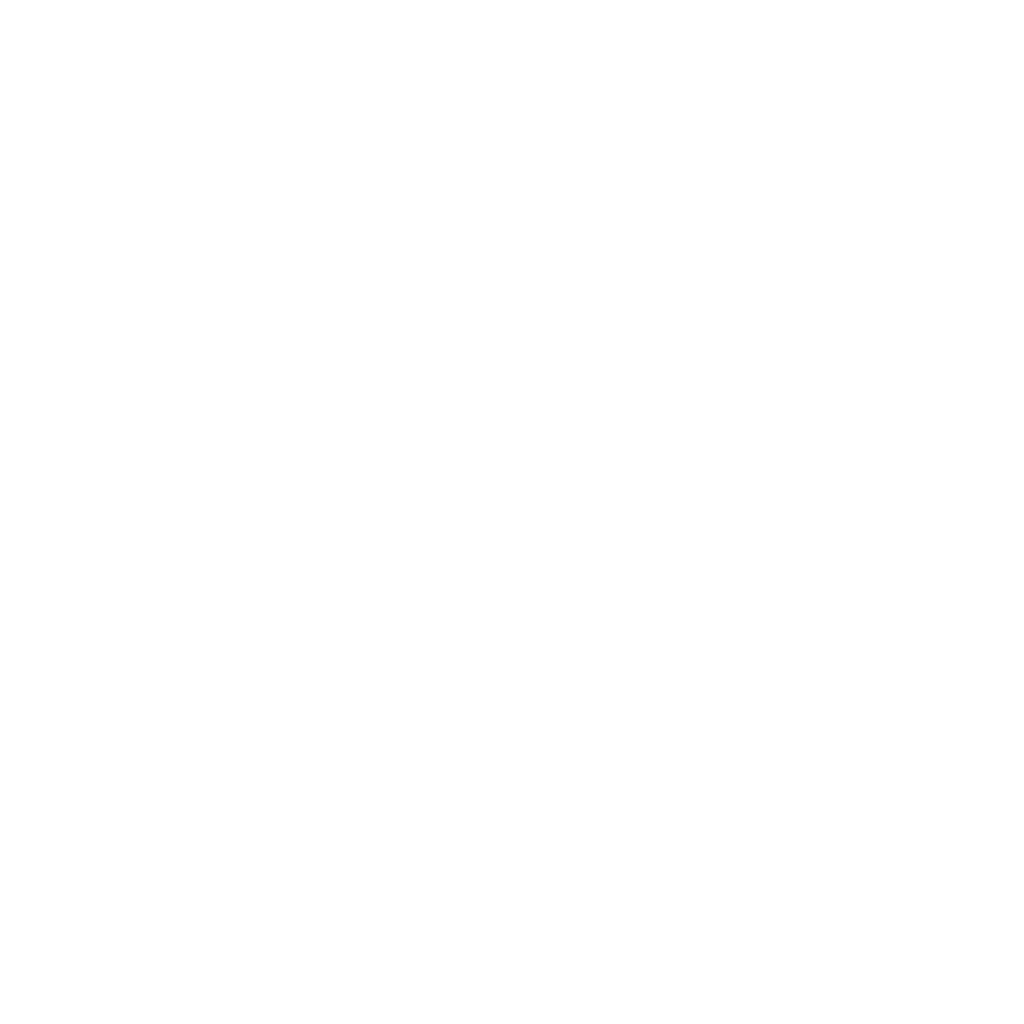 logo optilus 1